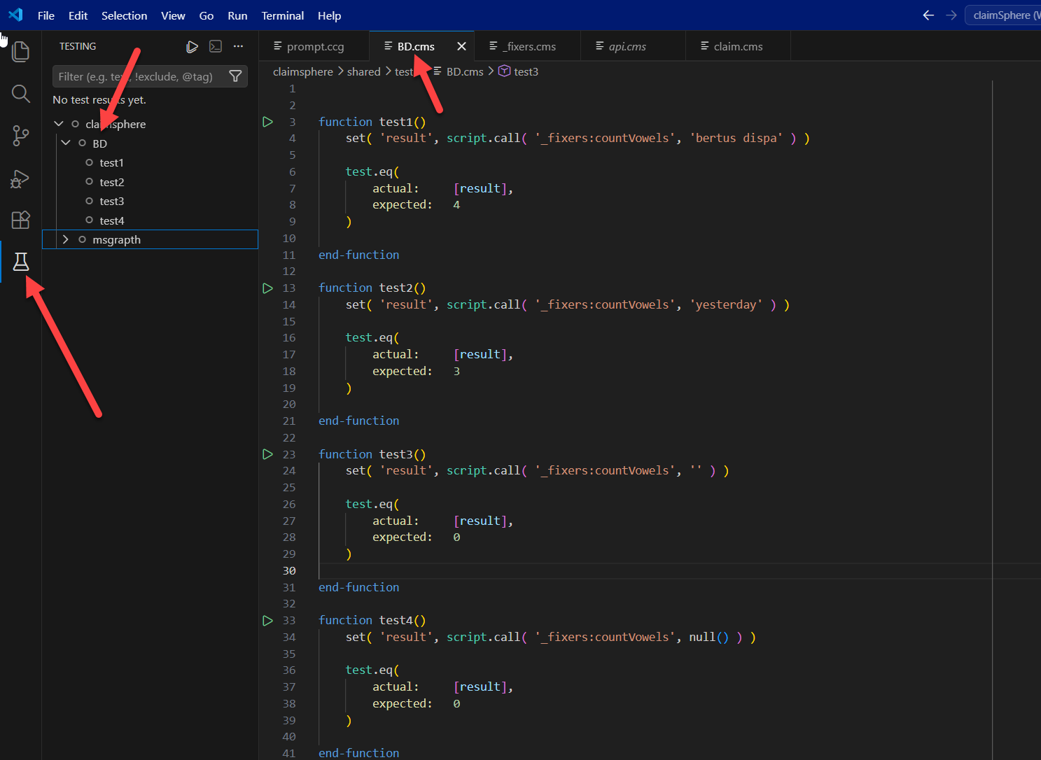 The test section in VSCode